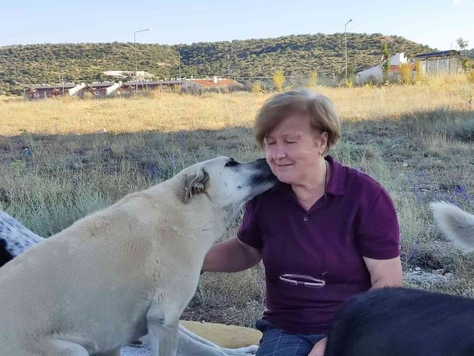Yaşlı Kadına ‘Sokakta Hayvan Besleme’ Tehdidi