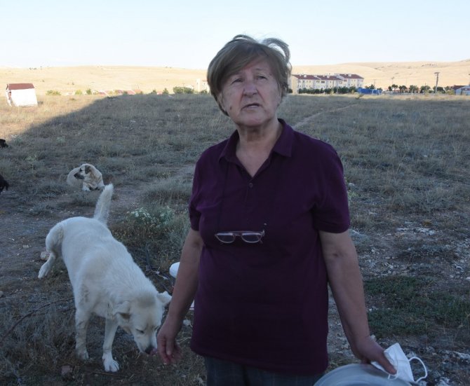 Yaşlı Kadına ‘Sokakta Hayvan Besleme’ Tehdidi
