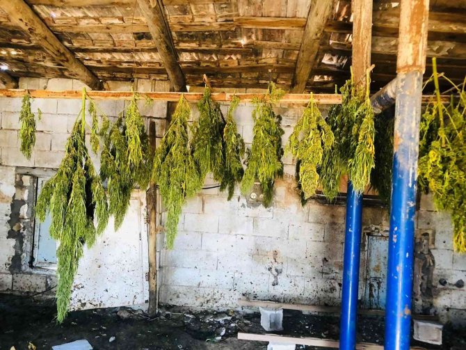 Jandarma Baskın Yaptı, Çiftlik Evi Uyuşturucu Evi Çıktı