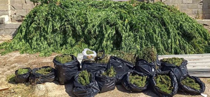 Jandarma Baskın Yaptı, Çiftlik Evi Uyuşturucu Evi Çıktı