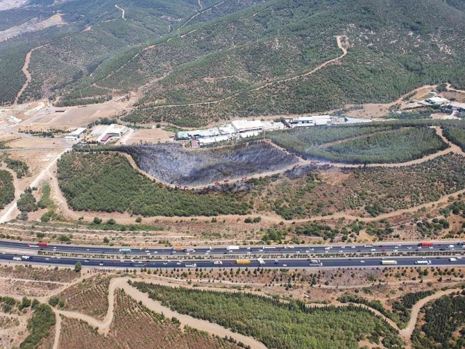 İ̇zmir’de Orman Yangını