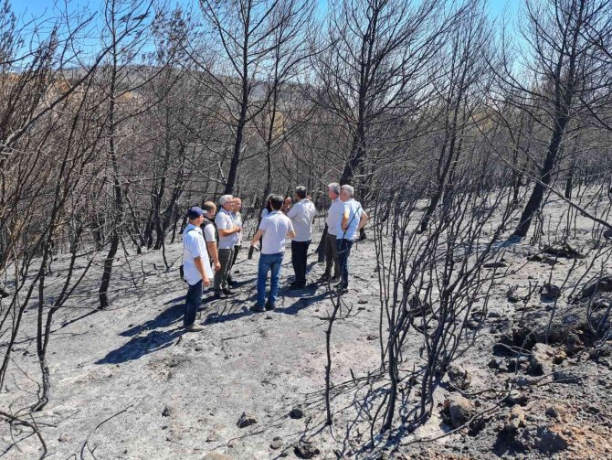 Akhisar’da Yanan Orman Alanında Fidanlar Toprakla Buluşacak
