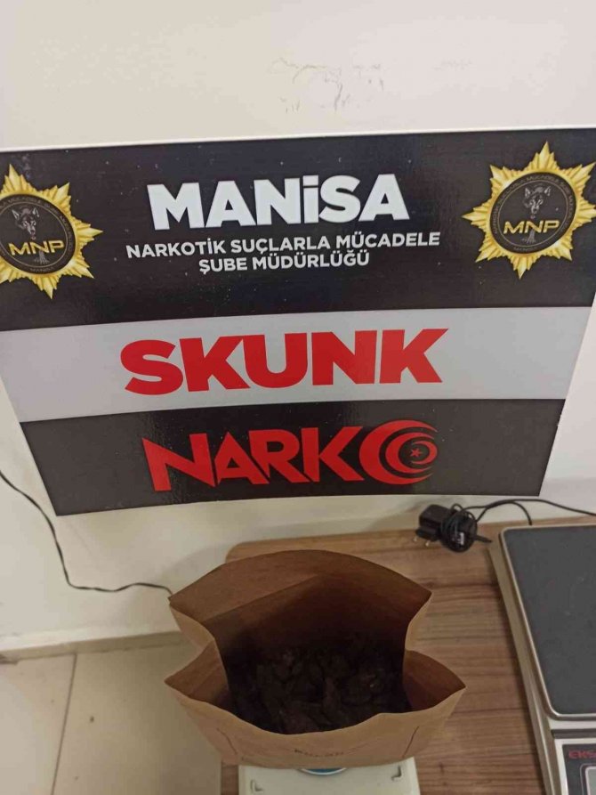 Manisa’da Uyuşturucu İle Mücadele Devam Ediyor
