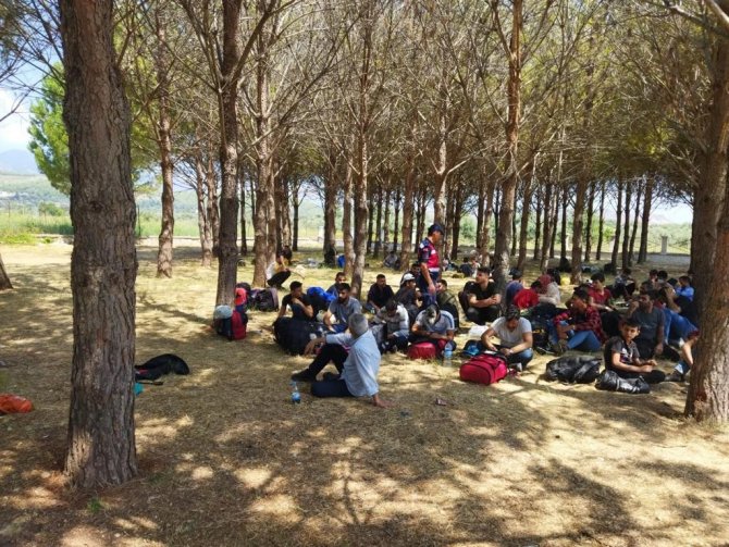 Seydikemer’de 81 Düzensiz Göçmen Yakalandı