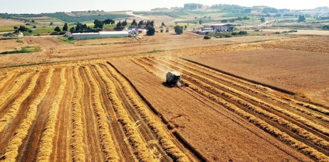 Nilüfer, Milano Paktı’na Katıldı