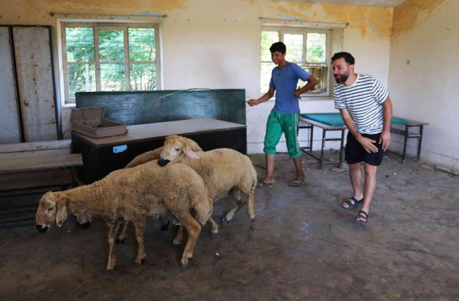 Ahır Olarak Kullanılan Köy Okulu Yaşam Merkezi Oldu