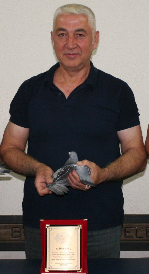 Posta Güvercini 1050 Kilometreyi 24 Saatte Tamamlayarak 1’inci Oldu