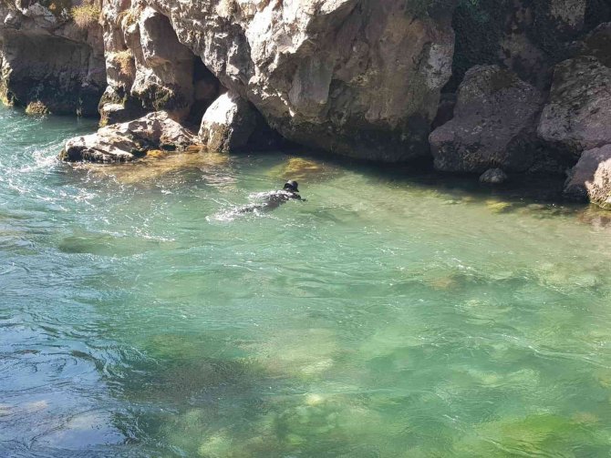 Siirt’te Kayıp Hemşireyi Arama Çalışmaları 63’üncü Gününde