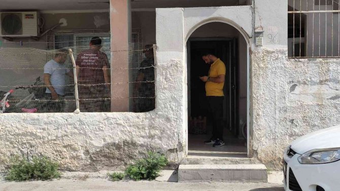 Yaşlı Kadın Ölü, Oğlu Bilekleri Kesilmiş Halde Bulundu