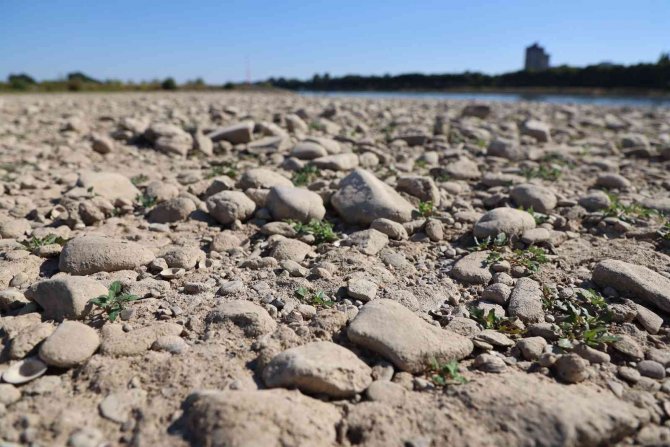 Almanya’da Ren Nehri’nin Su Seviyesinde Ciddi Düşüş