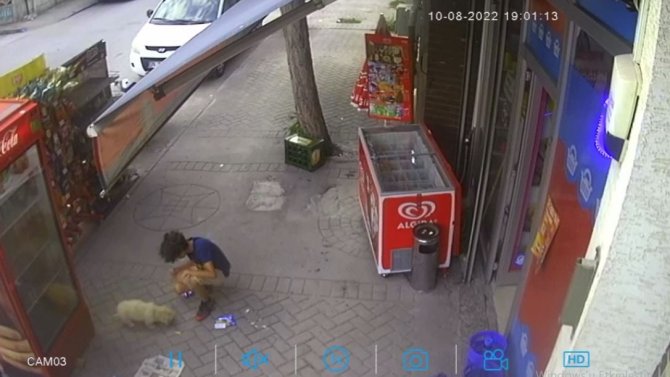 Yavru Köpeği Önce Sevdi, Sonra Çaldı