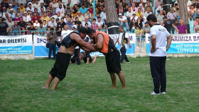 Hatay’da Geleneksel Yayladağı Kültür Ve Aba Güreşi Türkiye Şampiyonası Düzenlendi