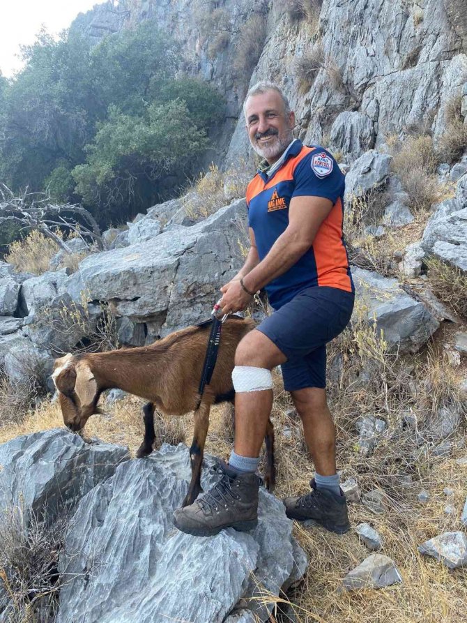 Mahsur Kalan Keçiyi Mag Amesar Ekibi Kurtardı