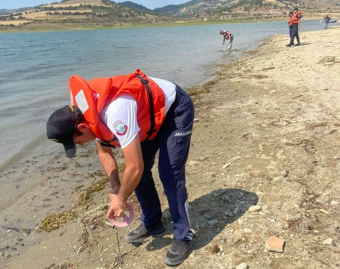Manisa’da Jandarma Kaçak Avcılara Geçit Vermedi