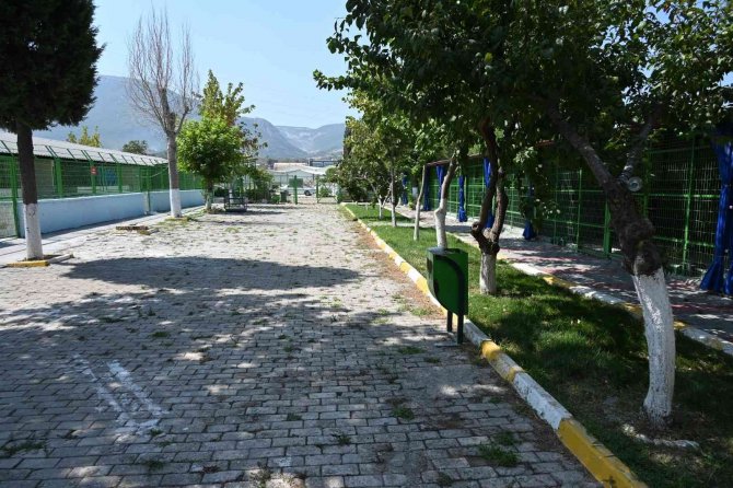 Soma’daki Sokak Hayvanı Popülasyonu Kontrol Altına Alınıyor