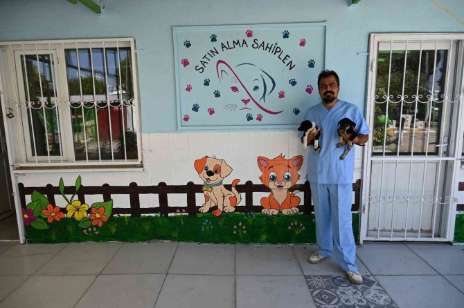 Soma’daki Sokak Hayvanı Popülasyonu Kontrol Altına Alınıyor