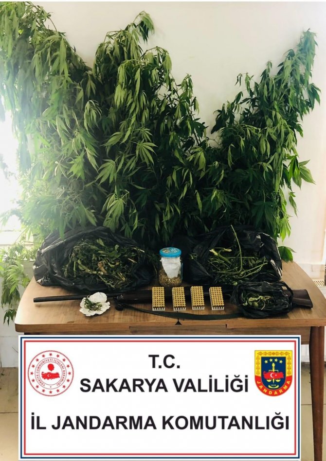 Jandarmadan Uyuşturucu Operasyonları: 2 Gözaltı