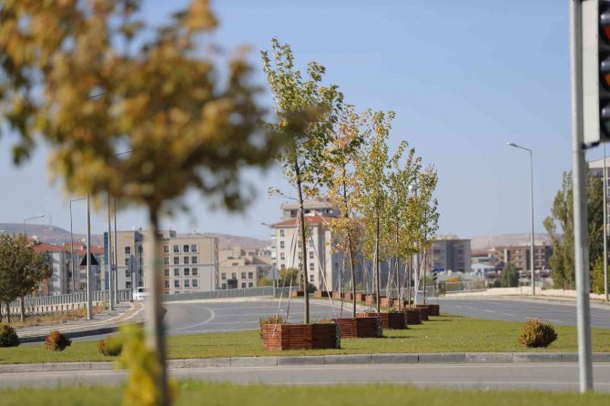 25 Bin Ağaç Toprakla Buluştu