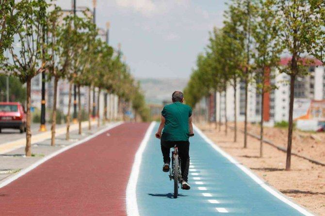 25 Bin Ağaç Toprakla Buluştu