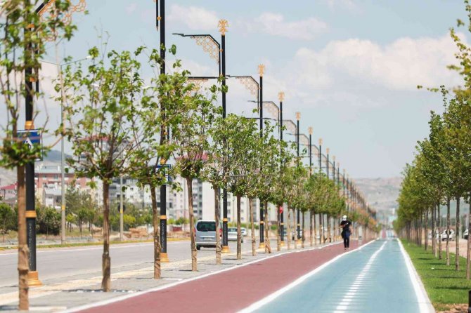 25 Bin Ağaç Toprakla Buluştu