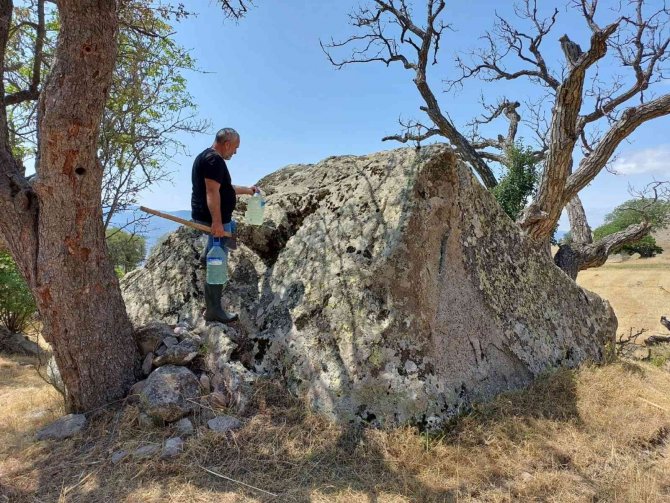 Yaban Hayvanları Susuz Kalmasın Diye Dağ Dağ Gezip Oyukları Temizliyor