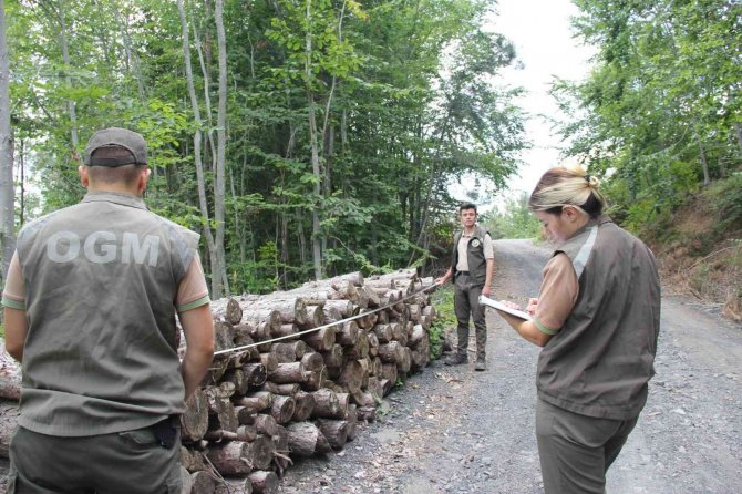 Ormanların Koruyucuları 7 Ayda 90 Suç Tutanağı Tanzim Etti
