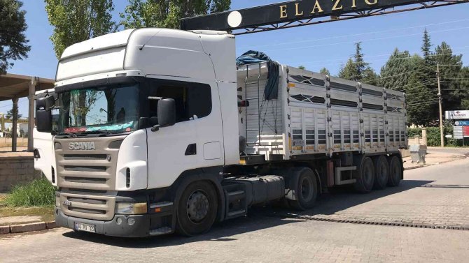 Tır Şoförü Direksiyon Başında Ölü Bulundu
