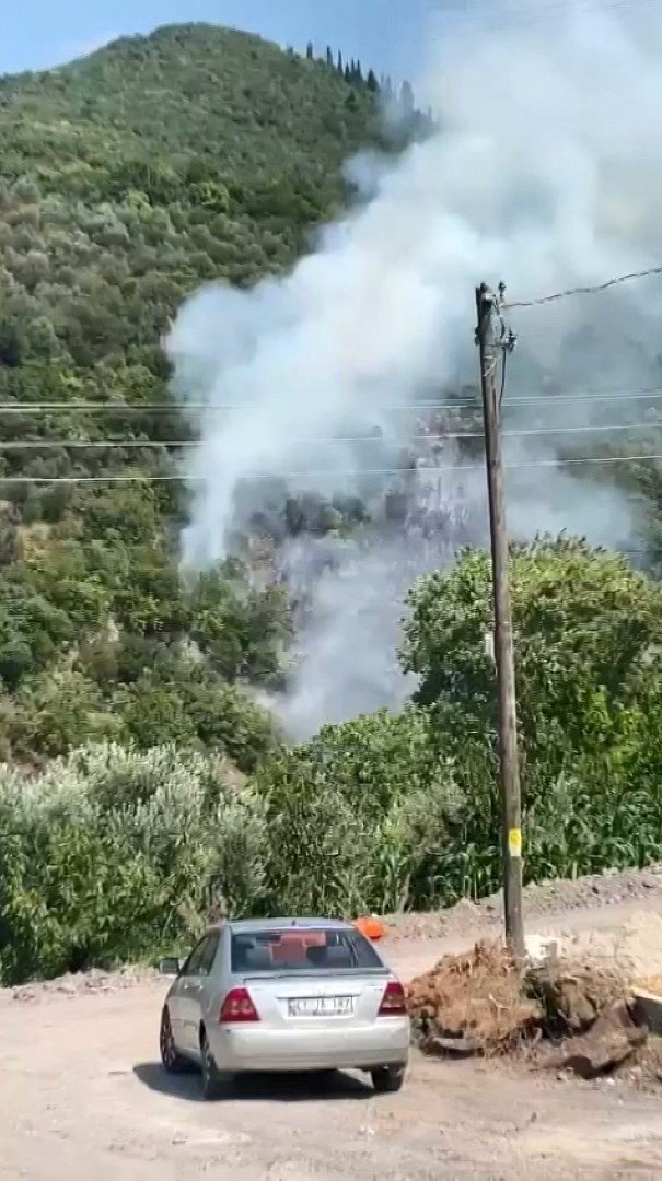 Kocaeli’de Orman Yangını