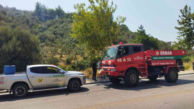 Söke’deki Yangın Kısa Sürede Kontrol Altına Alındı: 3 Dönümlük Arazi Zarar Gördü