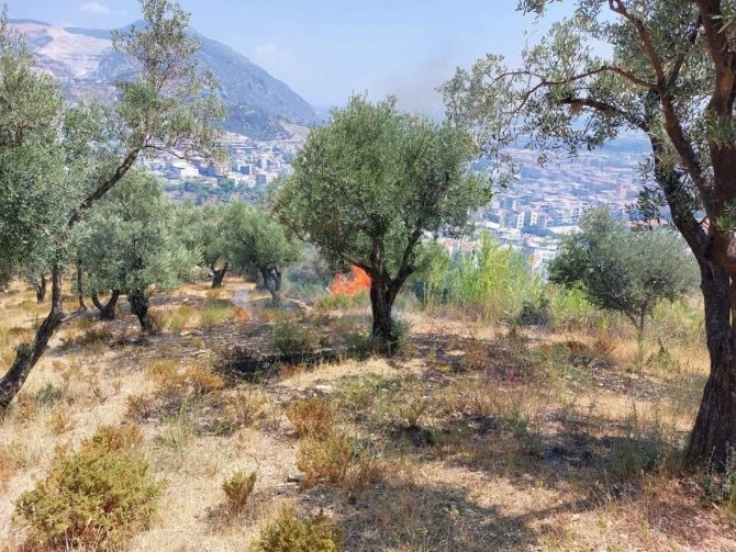 Söke’deki Yangın Kısa Sürede Kontrol Altına Alındı: 3 Dönümlük Arazi Zarar Gördü