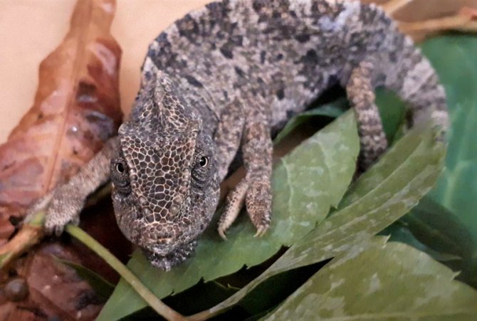 Ekodosd’tan Sürücülere “Duyarlılık” Çağrısı