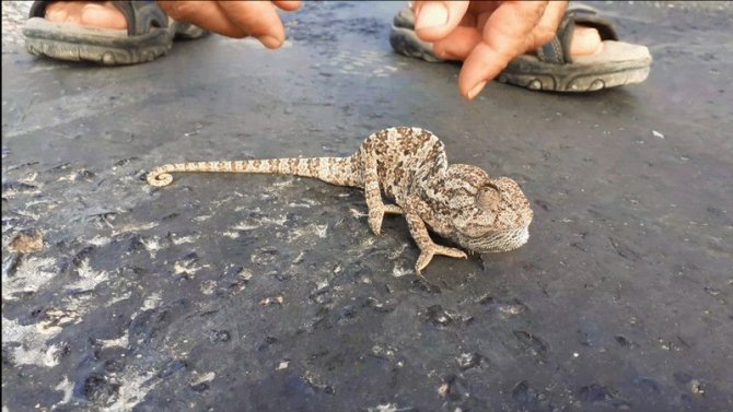 Ekodosd’tan Sürücülere “Duyarlılık” Çağrısı