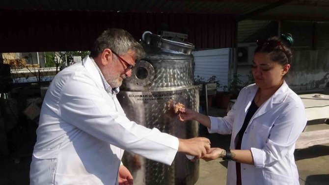 Gül Yağları Uzay Ortamında Üretilecek