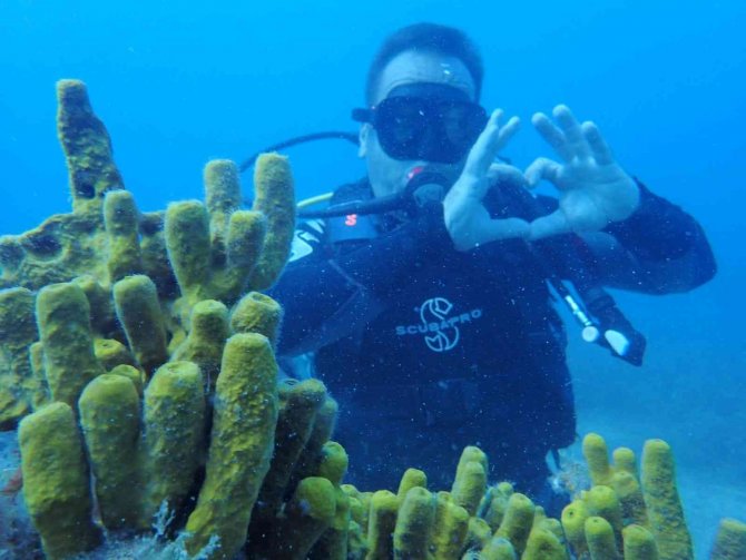 Eskişehirli Dalgıçlardan Mükemmel Deniz Altı Manzaraları