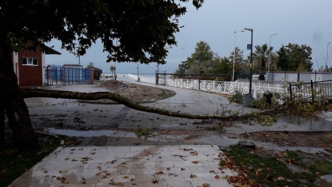 Sağanak Yağış Denizin Rengini Değiştirdi