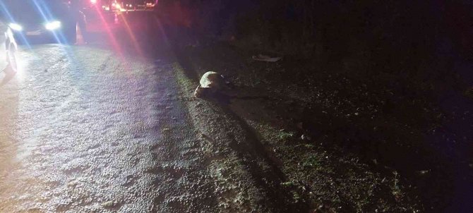 Çanakkale’de Otomobil Koyun Sürüsüne Daldı: 13 Koyun Telef Oldu