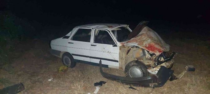 Çanakkale’de Otomobil Koyun Sürüsüne Daldı: 13 Koyun Telef Oldu