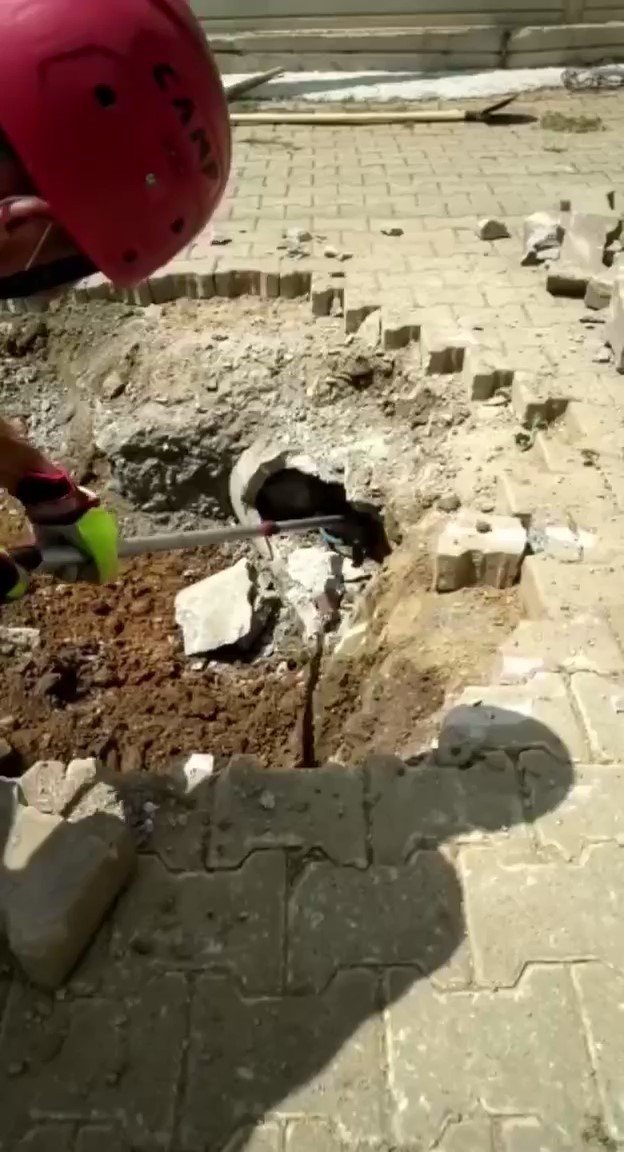 Yer Altından Gelen Garip Sesler Kanalizasyonda Mahsur Kalan Köpek Çıktı