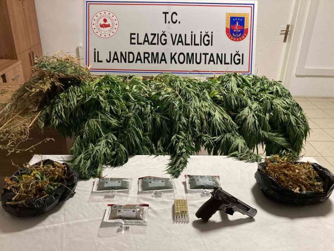 Elazığ’da 1 Kilo Esrar Ve 17 Kök Kenevir Ele Geçirildi