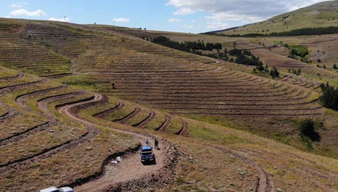 Güneş, 2002 Ve 2022 Yılları Arasında Bayburt’ta Yapılan Orman Ve Ağaçlandırma Çalışmalarını Anlattı