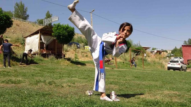 Yüksekovalı Tekvandocular, Piknik Alanında Şampiyonaya Hazırlanıyor