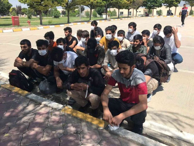 Iğdır Ve Ağrı’dan 136 Afganistanlı Göçmen Ülkelerine Gönderildi