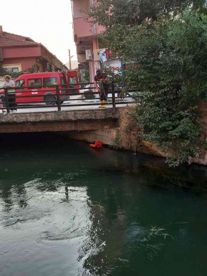 Sulama Kanalına Düşen Yavru Kedi Kurtarıldı