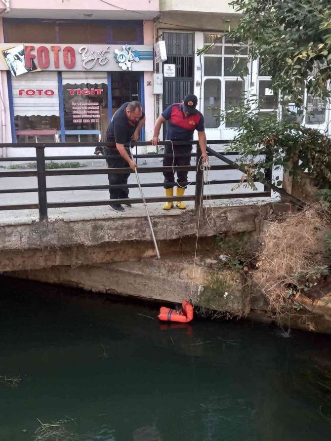 Sulama Kanalına Düşen Yavru Kedi Kurtarıldı