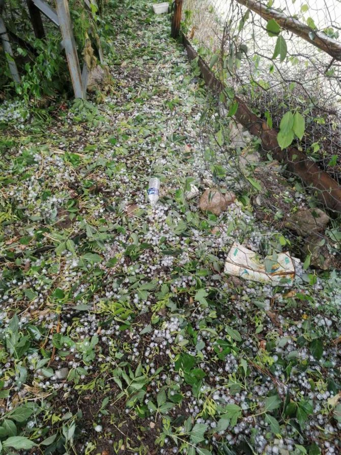 Kastamonu’da Dolu Yağışı Zarara Neden Oldu