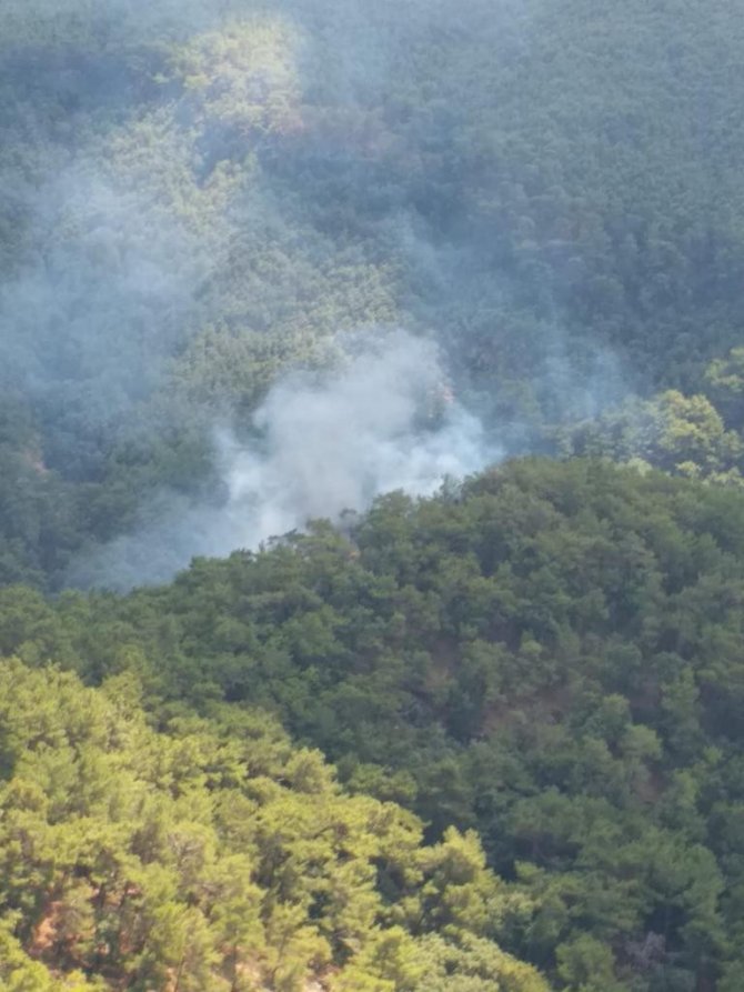 Kazdağları’nda Orman Yangını