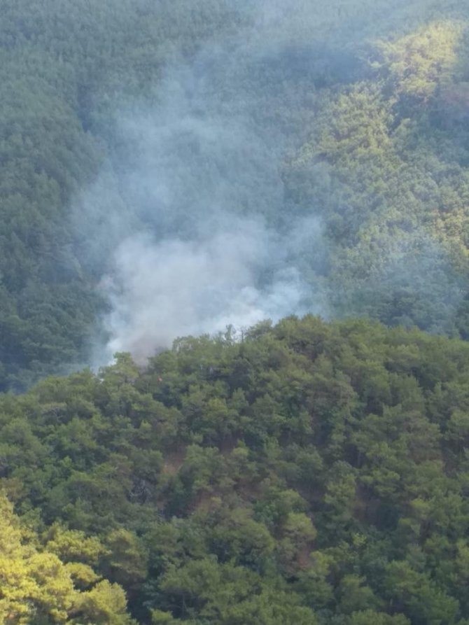 Kazdağları’nda Orman Yangını