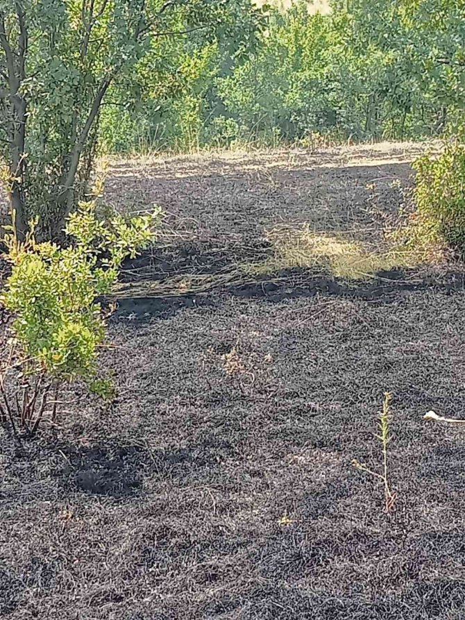 Kırklareli’nde Orman Yangını