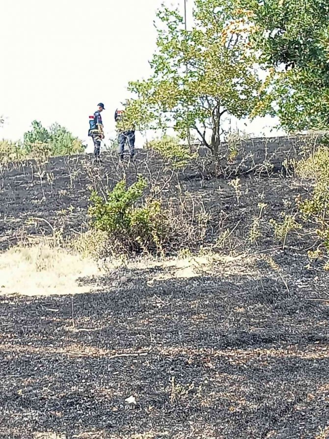 Kırklareli’nde Orman Yangını