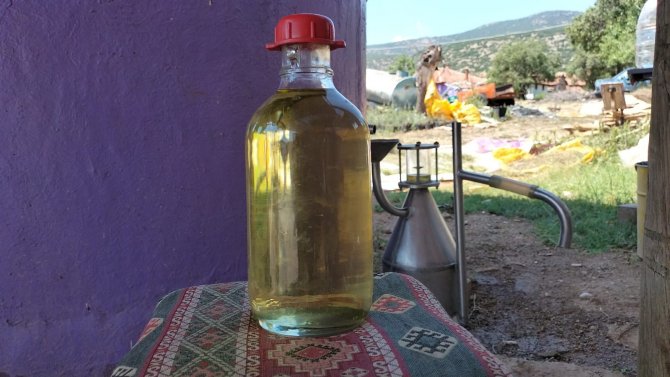 Türkiye’nin Lavanta Merkezinde Üretilen Lavanta Yağı Birçok Ülkeye İhraç Ediliyor